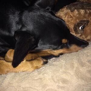 Meet your Posher, Kav